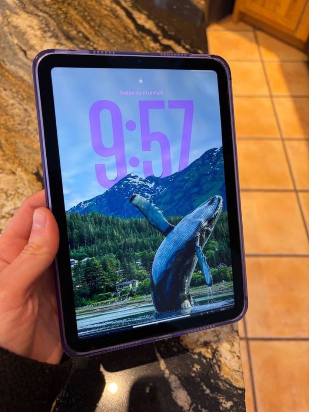 Like-New iPad mini A17 Pro (7th Gen) including Clear Slim Case!
